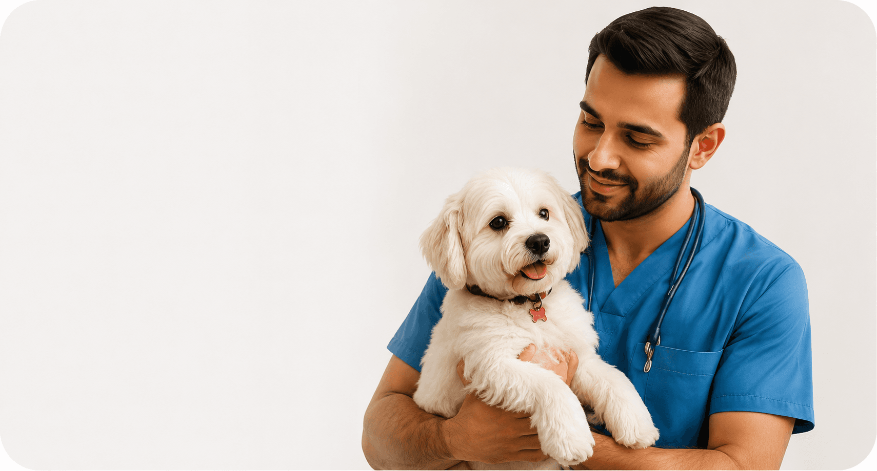 Pet Consultation